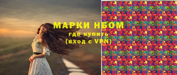 амф Алзамай