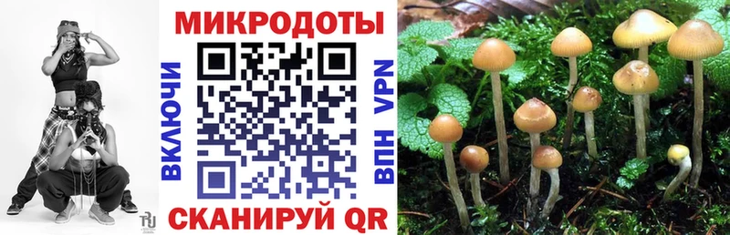 купить наркотики сайты  Нижний Ломов  Галлюциногенные грибы MAGIC MUSHROOMS 